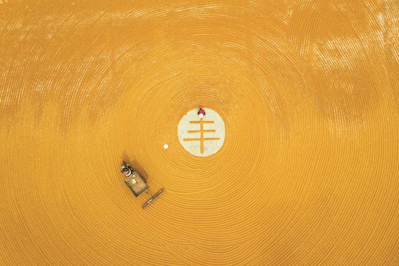组照5《金秋的旋律》15534898848杨建峰2020年10月24日拍摄于山西永济市蒲州镇。山西省永济市蒲州镇，黄河岸边万亩秋粮喜获丰收，农民抓住有力天气晾晒秋粮准备入仓_副本1