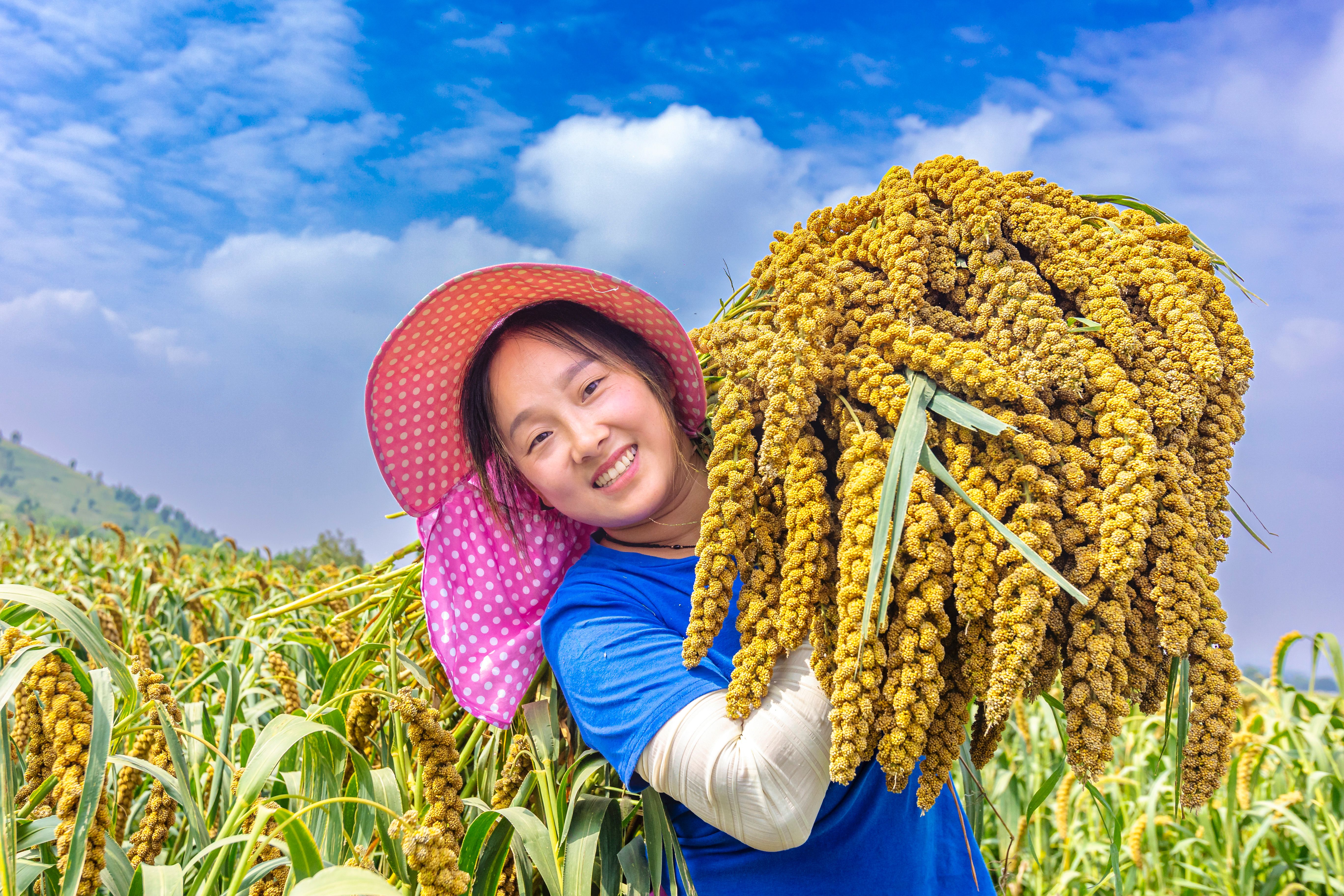 58.《丰收的喜悦》夏县农商银行王刚 (2)