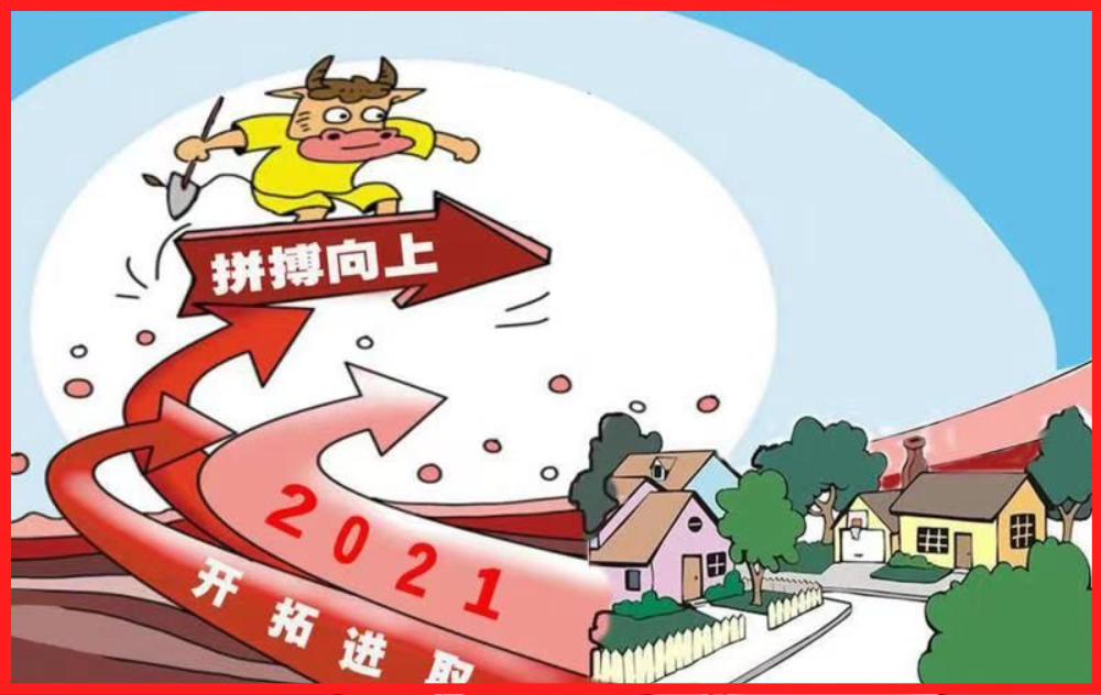 业务“拓荒牛”