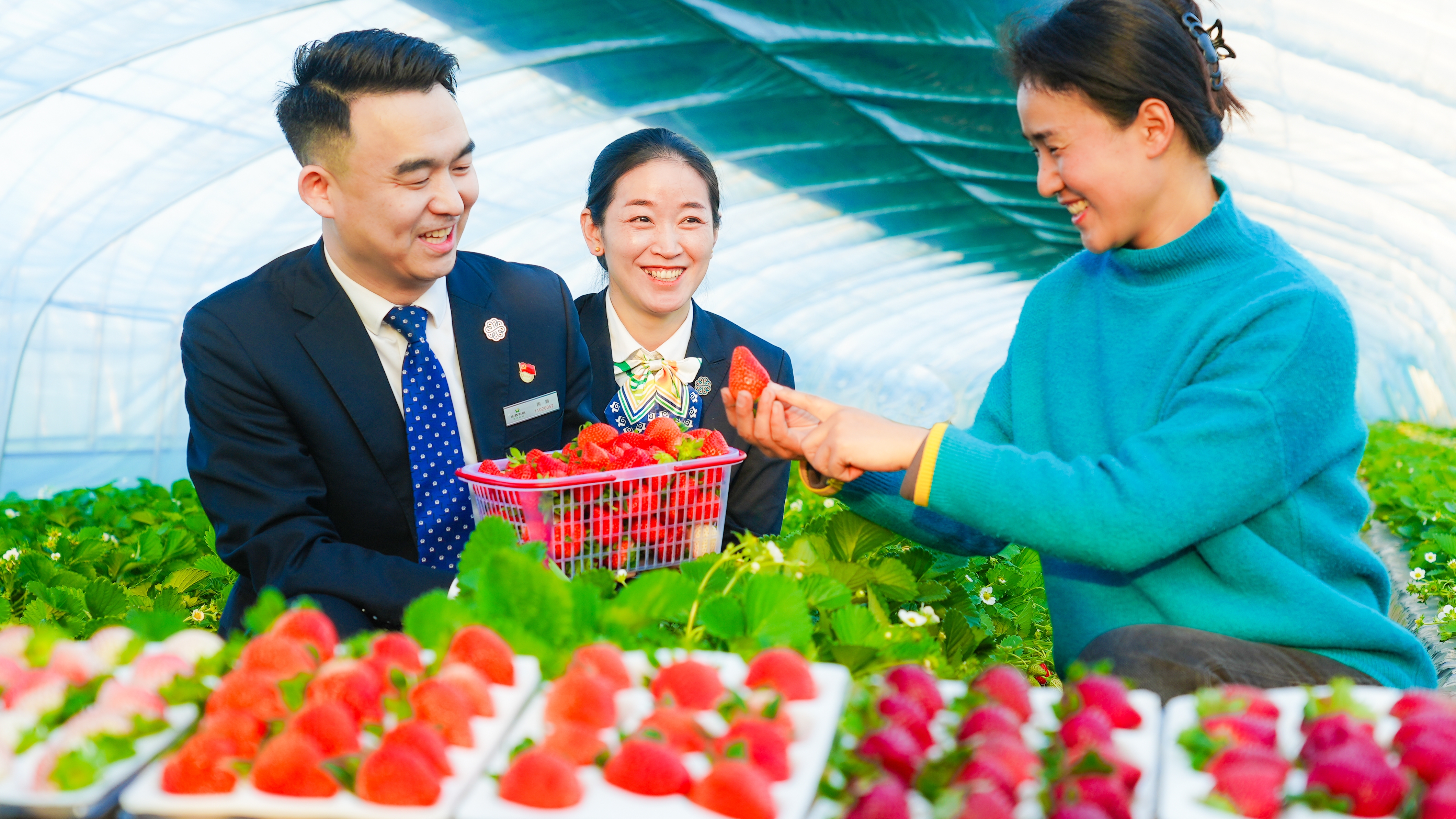 山西农商银行 支农支小“普”写惠民新答卷