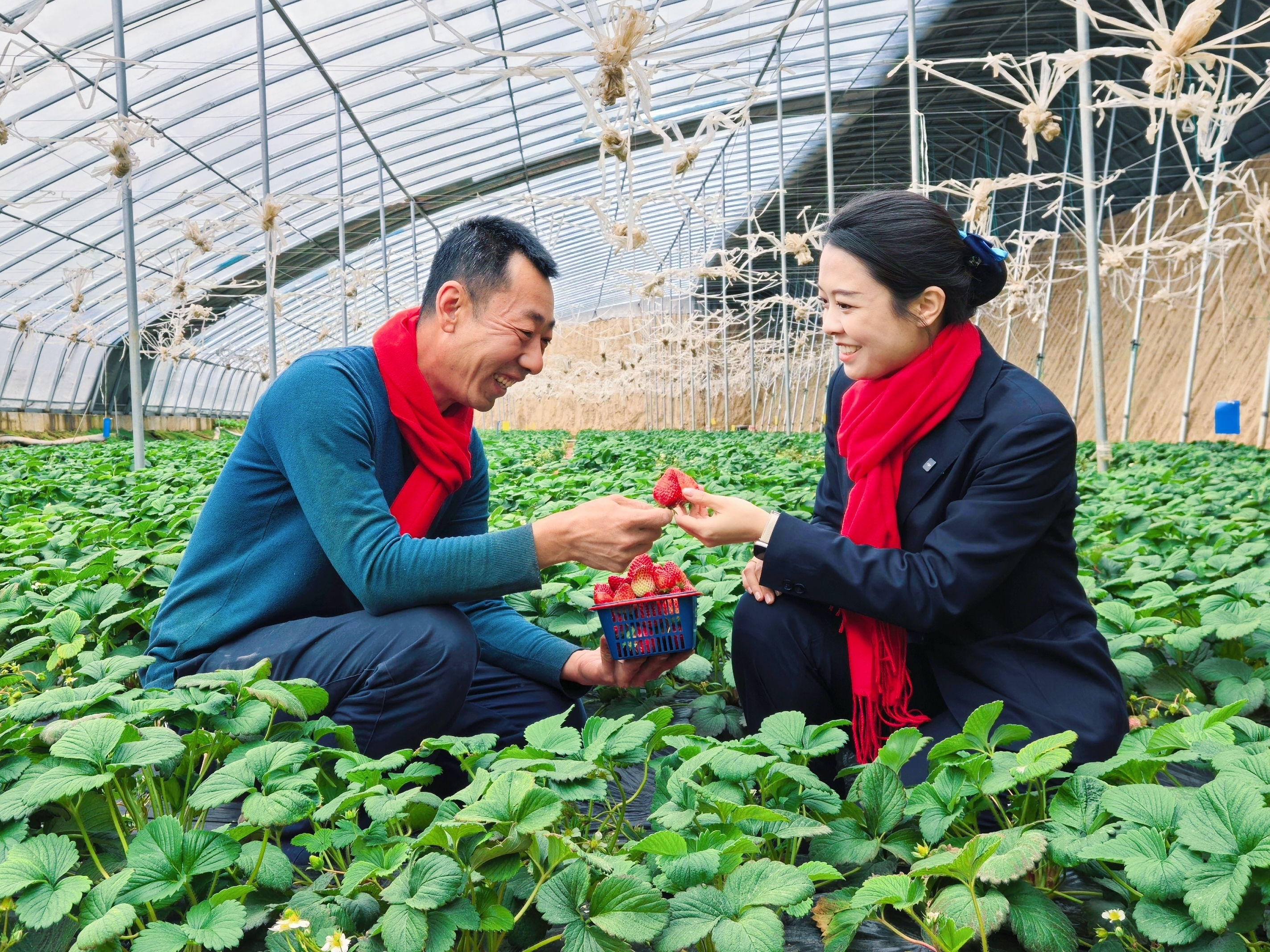 不误农时不负春 山西农商行马不停蹄抓实 春耕备耕金融服务